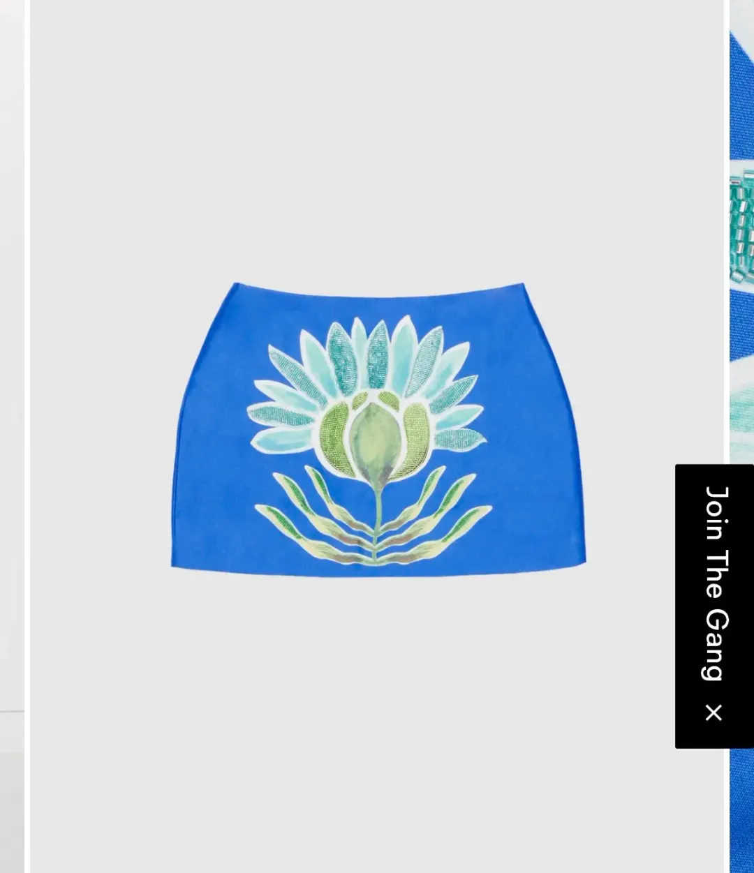 The Wolf Gang Solsana Mini Skirt and Tacha Top for rent on The Volte - main image