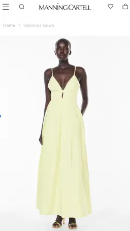 Manning Cartell Valentina Maxi Gown Lemon size 8 for rent on The Volte - image 4