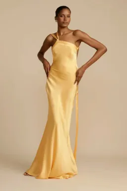 ARCINA ORI MONIQUE DRESS for rent on The Volte - image 1