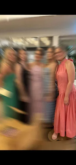 Sheike Imogen Maxi Dress Guava Size 10 for rent on The Volte - image 4
