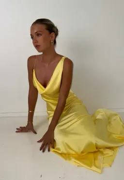 HNTR The Label Bianka Gown – Lemon sz 6 for rent on The Volte - image 6