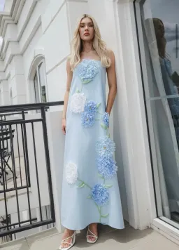 Elliatt Buttercup Maxi Dress in Blue M/AU 10 for rent on The Volte - image 1