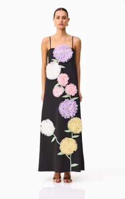 Elliatt Buttercup Embroidered Maxi Dress in Black Size S for rent on The Volte - image 1