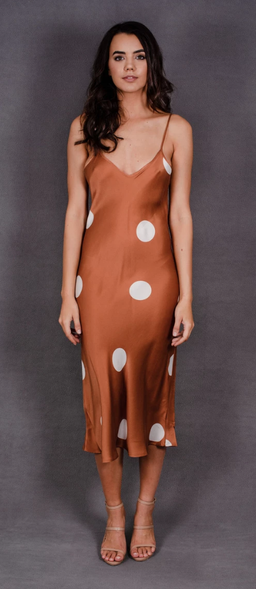 Silk Laundry Polka Dot Silk Slip Dress Cinnamon Size 6 for rent on The Volte - image 2