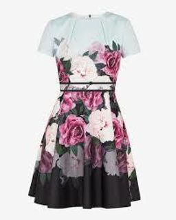 Ted Baker Wilmana Magnificent Dress size 10 for rent on The Volte - image 3
