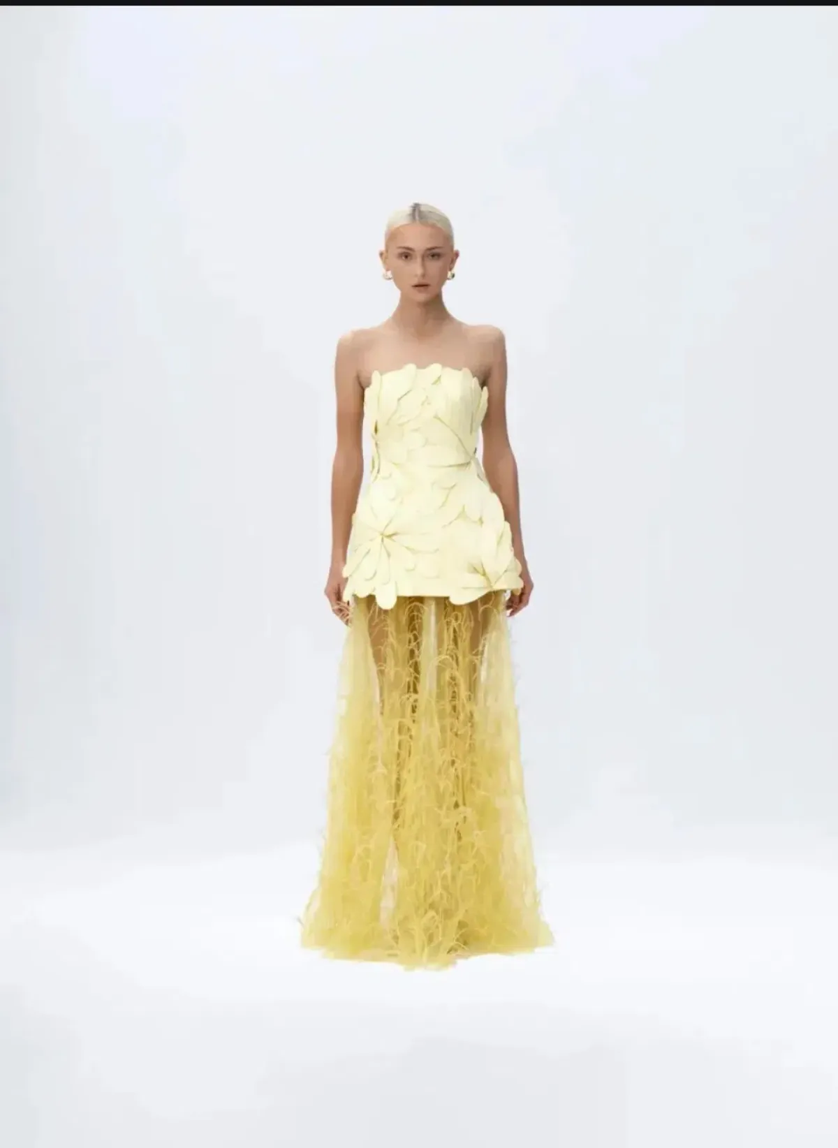 MARISOL APPLIQUE GOWN - Image 2