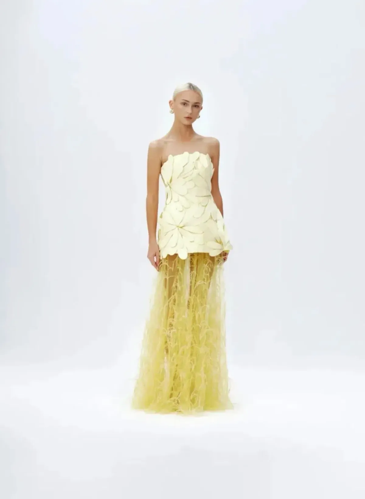 MARISOL APPLIQUE GOWN - Image 3