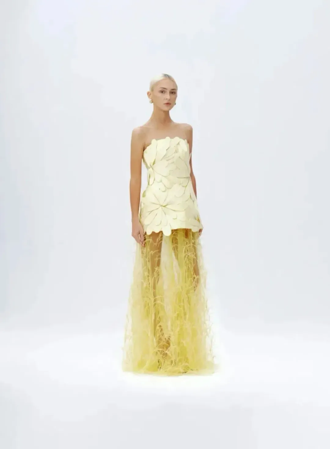 MARISOL APPLIQUE GOWN for rent on The Volte - main image