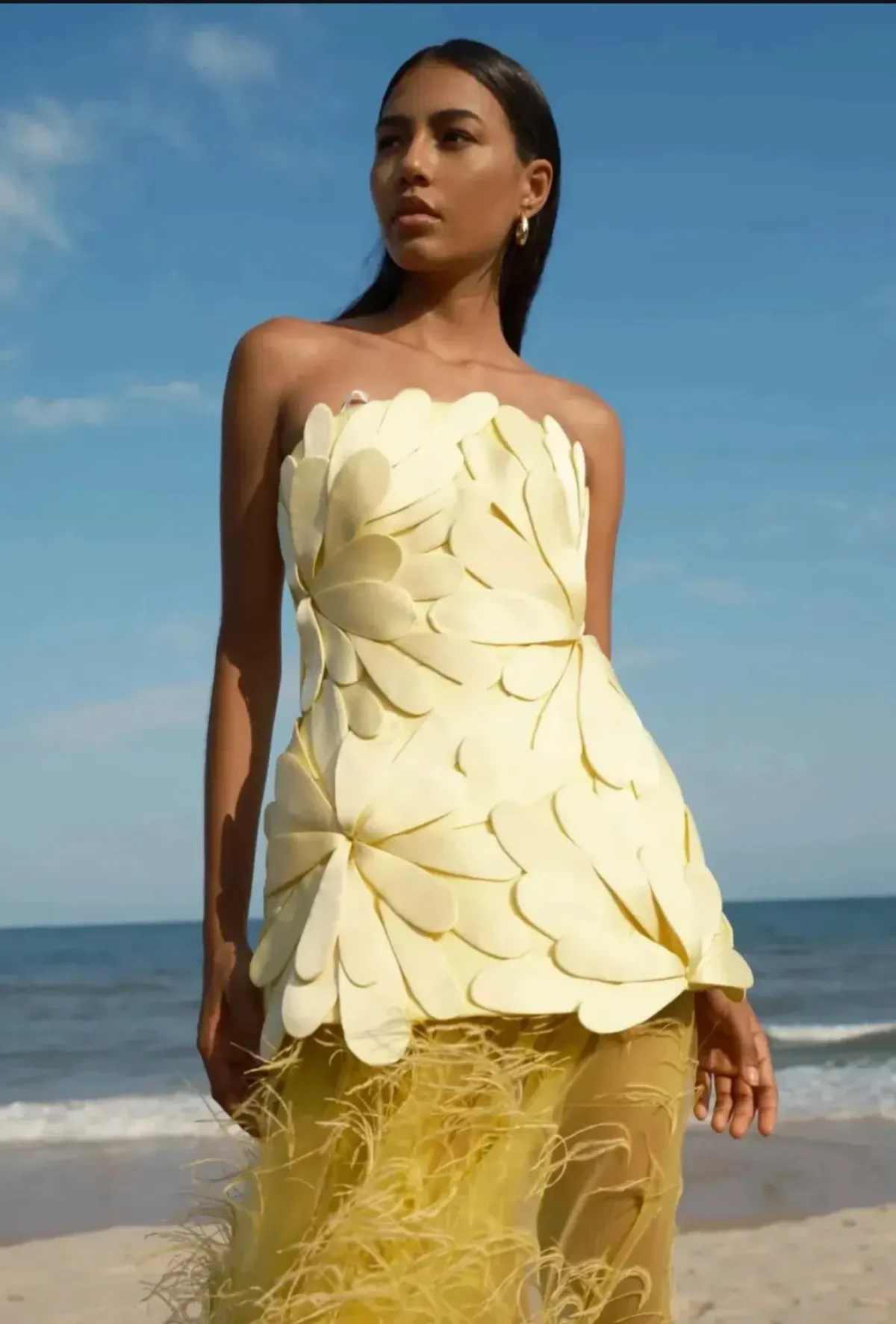 MARISOL APPLIQUE GOWN - Image 1