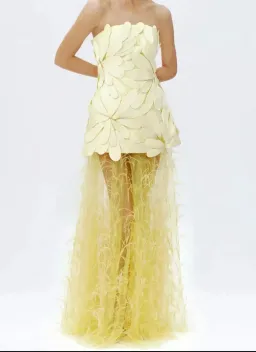 MARISOL APPLIQUE GOWN for rent on The Volte - image 6