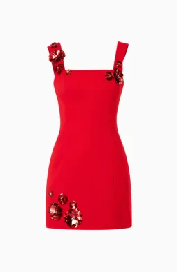Elliatt Emma Mini Dress Red Size AU 8 / S for rent on The Volte - image 6