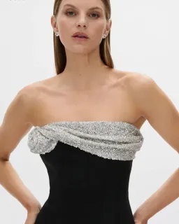 Rachel Gilbert Charlotte Gown Black Size 6 for rent on The Volte - image 4