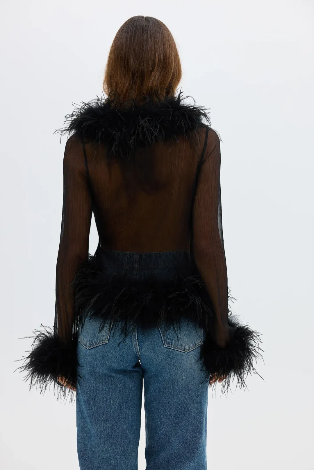 BÜBISH - The Gigi Sheer Feather Blouse for rent on The Volte - main image