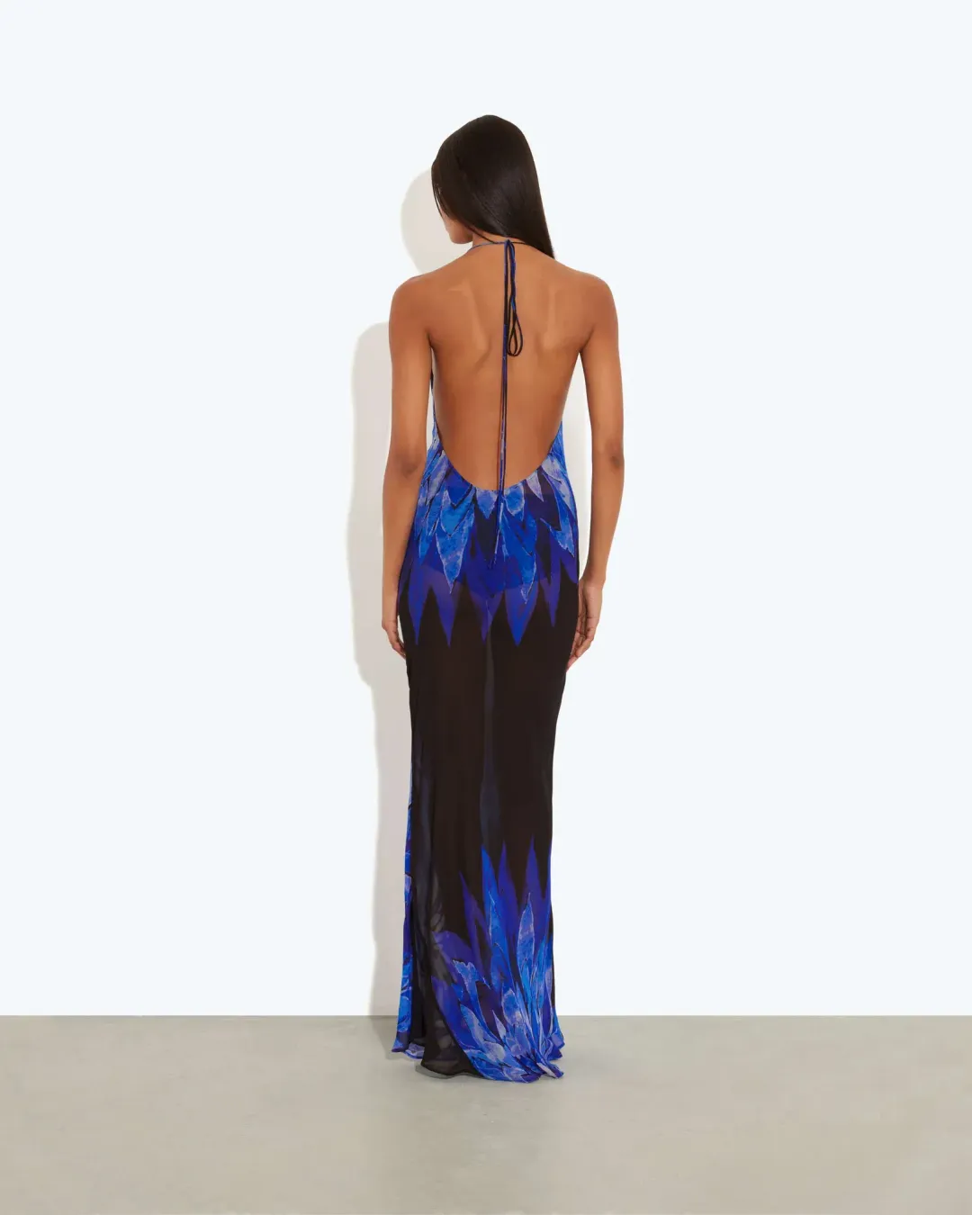 Rat & Boa maxi sheer dress backless for rent on The Volte - main image