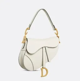 Dior Saddle Latte for rent on The Volte - image 1