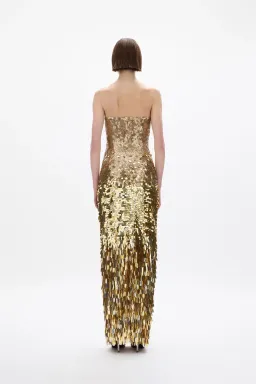 Rachel Gilbert Remy Gown (AU 10) for rent on The Volte - image 4