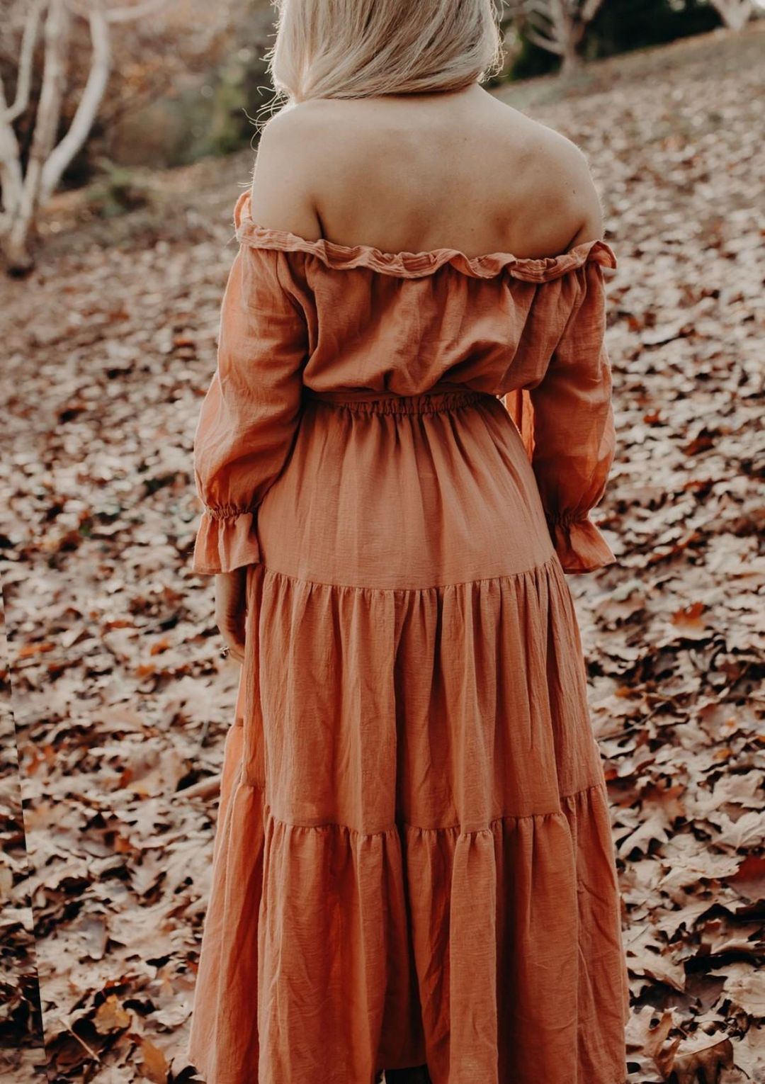 Co & Ry Goldie Maxi Dress Rust One Size for rent on The Volte - main image