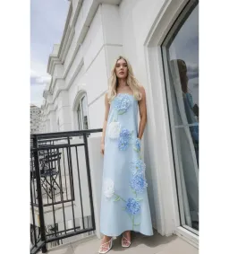 Elliatt Buttercup Embroidered Maxi Dress In Blue Size S/AU 8 for rent on The Volte - image 2