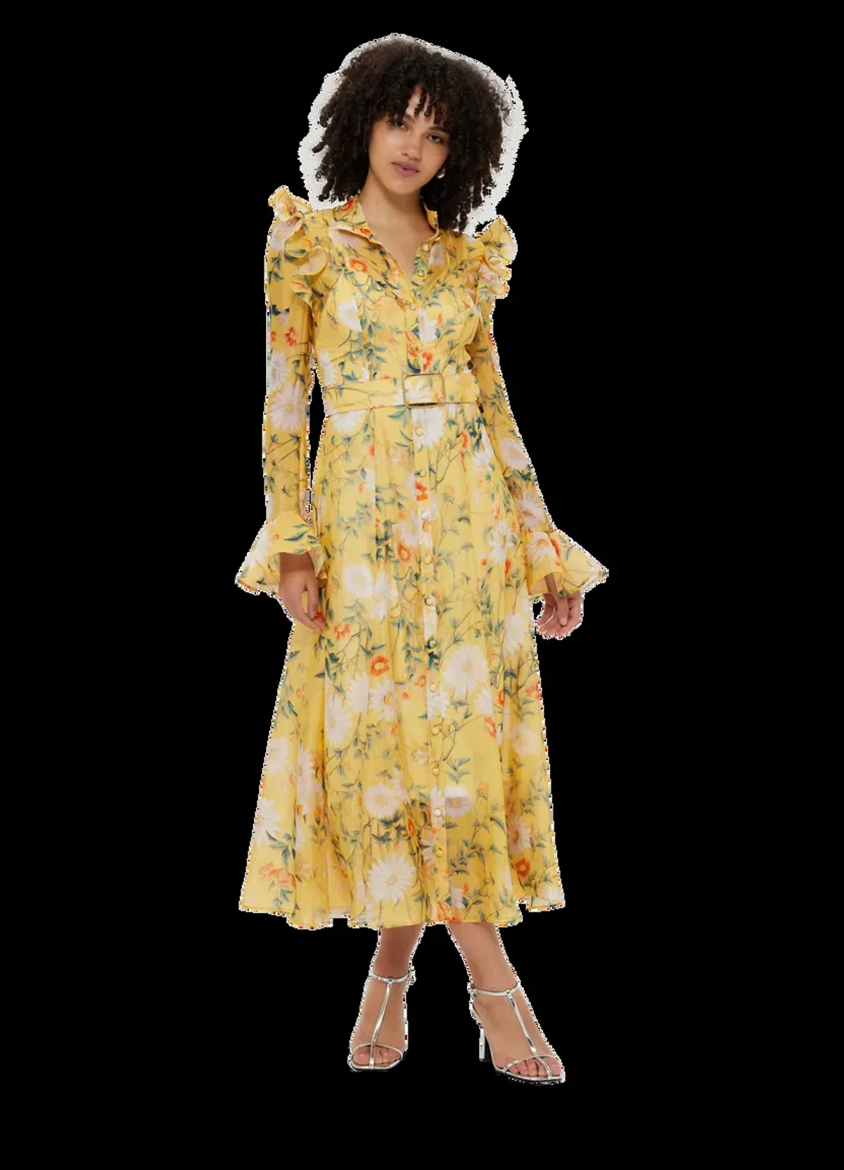 LEO LIN KATRINA BUTTERFLY SLEEVE MIDI DRESS for rent on The Volte - main image