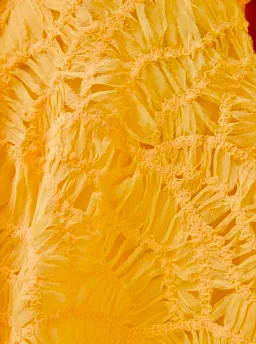 Aje Florential Mini Swing Dress – Soft Yellow – Size 10 for rent on The Volte - image 3