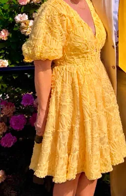 Aje Florential Mini Swing Dress – Soft Yellow – Size 10 for rent on The Volte - image 5