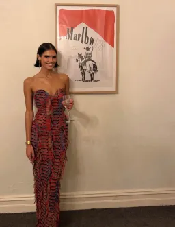 Jefre Sei Jasmine Dress Size XS / AU 6 for rent on The Volte - image 3