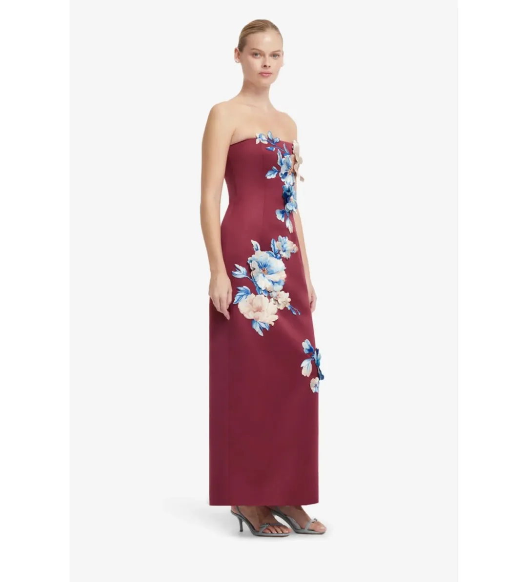 Leo Lin Rayna Embroidered Maxi Dress in Cosmos Print Size AU10 for rent on The Volte - main image