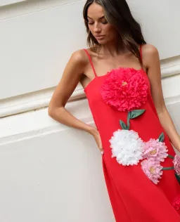 ELLIATT BUTTERCUP EMBROIDERED DRESS SIZE S / 8 RED for rent on The Volte - image 7