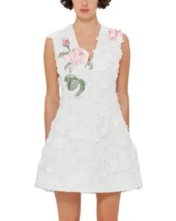 🌹Leo Lin Brianna V-Neck Embroidered Lace Mini Dress - Size 8 AU - White / Pink/ Floral 🌹 for rent on The Volte - image 1