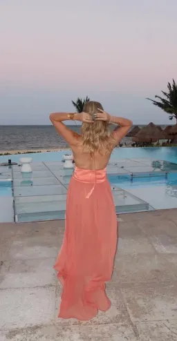 Serena dress for rent on The Volte - image 3