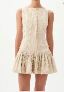ROAME Basil Mini Dress, for rent on The Volte - image 3