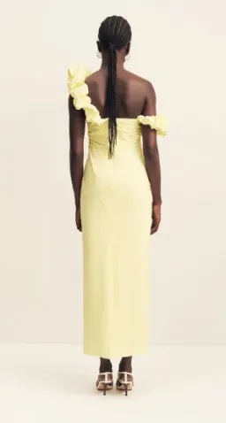 campbell ruffle draped maxi dress - lemonade for rent on The Volte - image 2