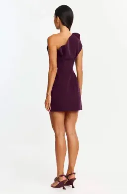 Acler Lugano Mini Dress - Fig - Size 10 for rent on The Volte - image 2