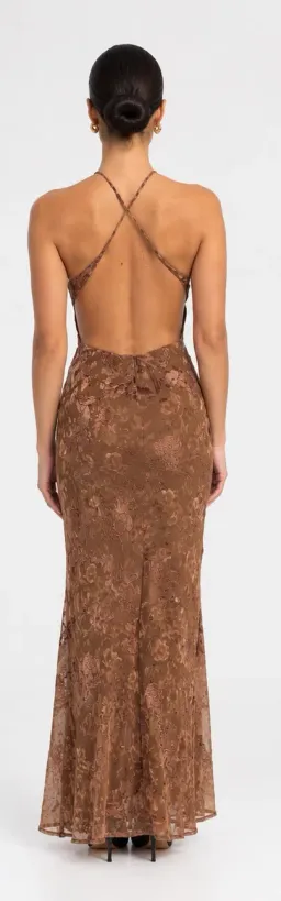 Zara Mocha Brown Velvet Maxi for rent on The Volte - image 1