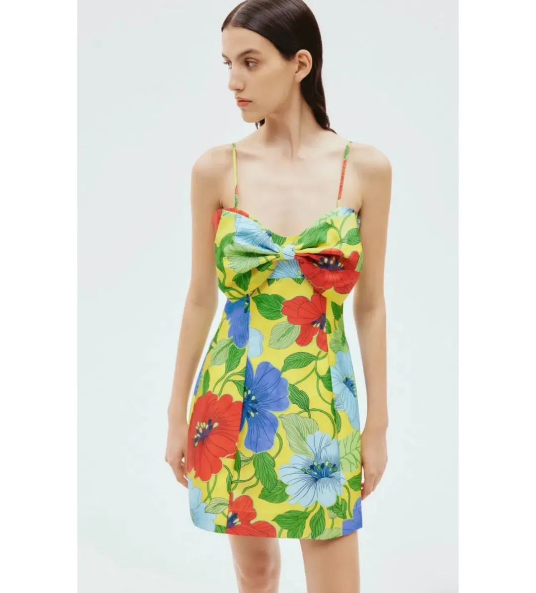 Alemais Verna Bow Mini Dress in Floral Size AU10 for rent on The Volte - main image