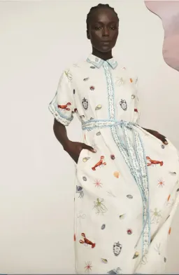 Alémais Sandy Embroidered Shirtdress Size 16 for rent on The Volte - image 1