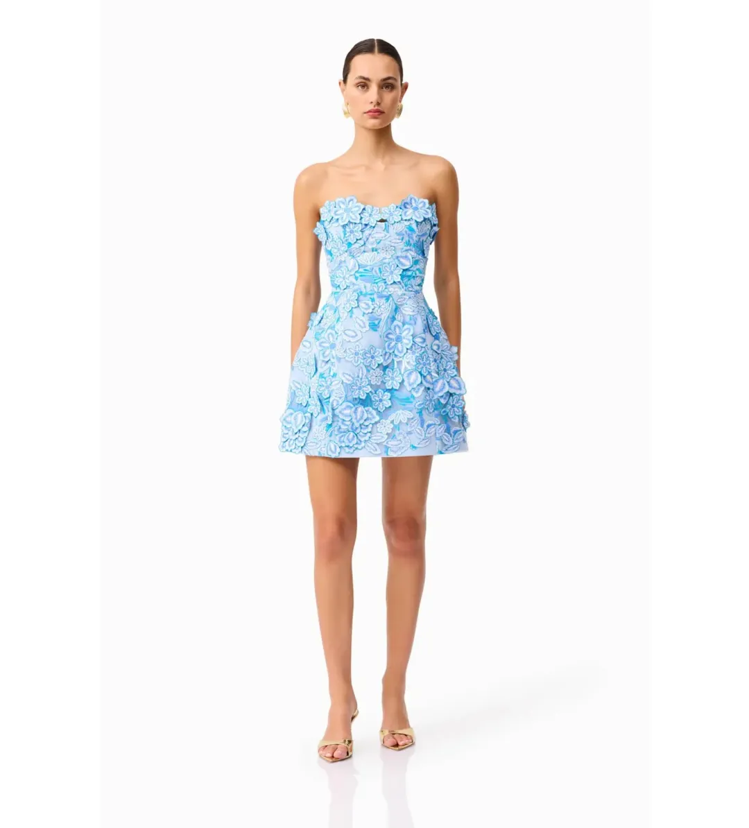 Elliatt Roseate Floral Mini Dress in Blue Size S/AU 8 for rent on The Volte - main image