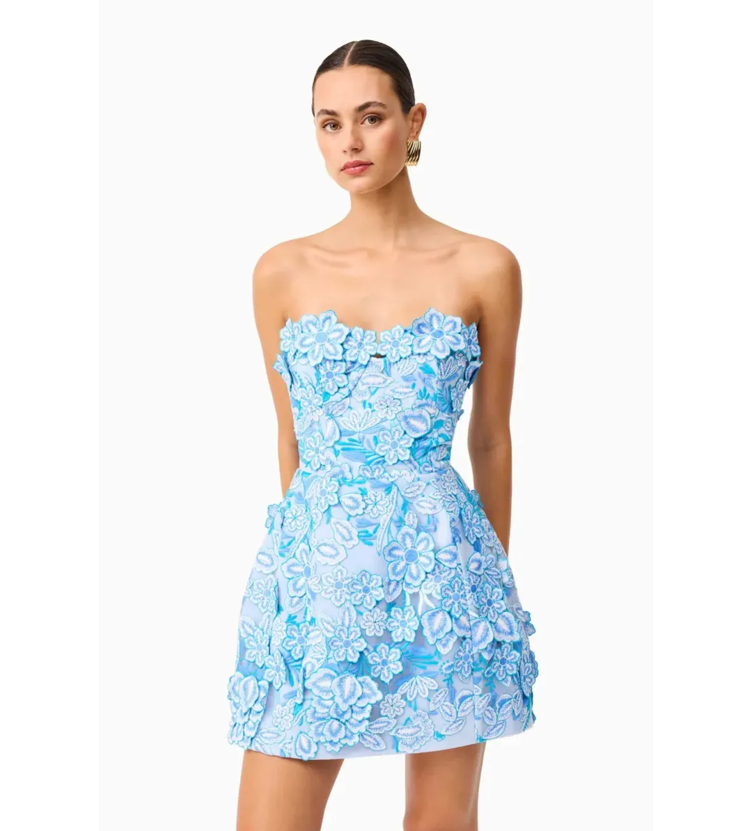 Elliatt Roseate Floral Mini Dress in Blue Size M/AU 10 for rent on The Volte - main image