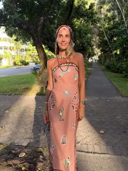 ALEMAIS Laurence Exclusive Midi Dress Pink Print Size 6 AU for rent on The Volte - image 3