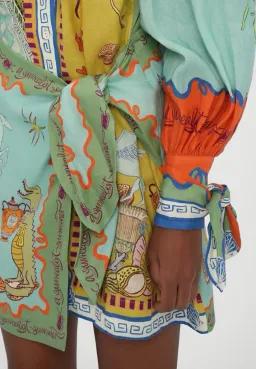 Alemais Surrealist Summer Mini Shirtdress Blue Size 10 AU for rent on The Volte - image 10