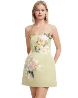 Leo Lin Roselle Embroidered Bustier Mini Dress Pistachio Rose Print Size 10 for rent on The Volte - image 4