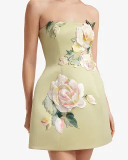 Leo Lin Roselle Embroidered Bustier Mini Dress Pistachio Rose Print Size 10 for rent on The Volte - image 5