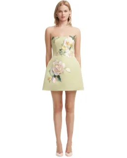 Leo Lin Roselle Embroidered Bustier Mini Dress Pistachio Rose Print Size 12 for rent on The Volte - image 2