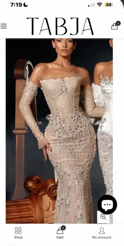Tabja Divina Gown Size 8 for rent on The Volte - image 3