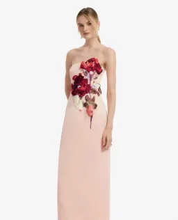 Leo Lin Rayna Floral-Embroidered Strapless Maxi Pink 8 for rent on The Volte - image 1