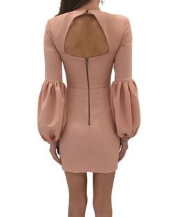 Rebecca Vallance Ambrosia Gather Sleeve Mini Pink Dress size 6 for rent on The Volte - image 4