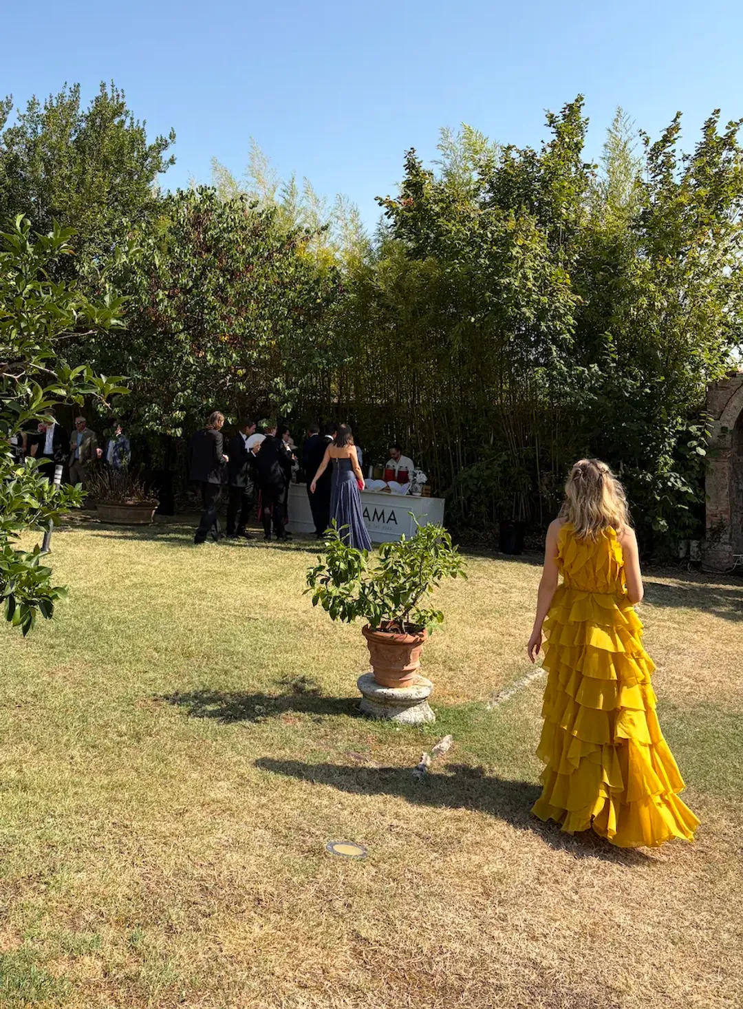 Aje Cleo dress in chartreuse size 8 for rent on The Volte - main image