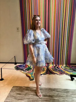Zimmermann Oasis Puff Sleeve Mini Dress Blue and White Size 2 /10 for rent on The Volte - image 1