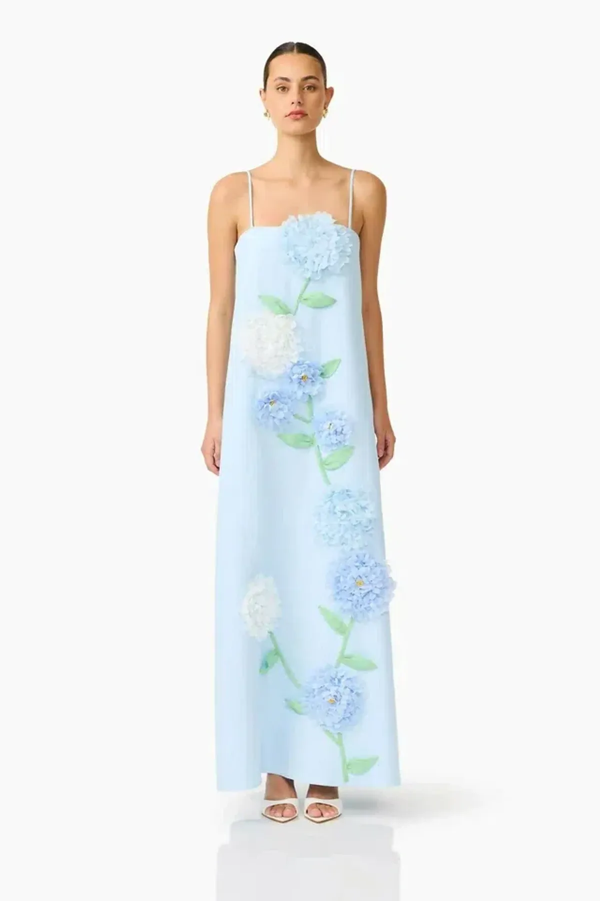 ELLIATT Buttercup Maxi Dress Blue – S for rent on The Volte - main image