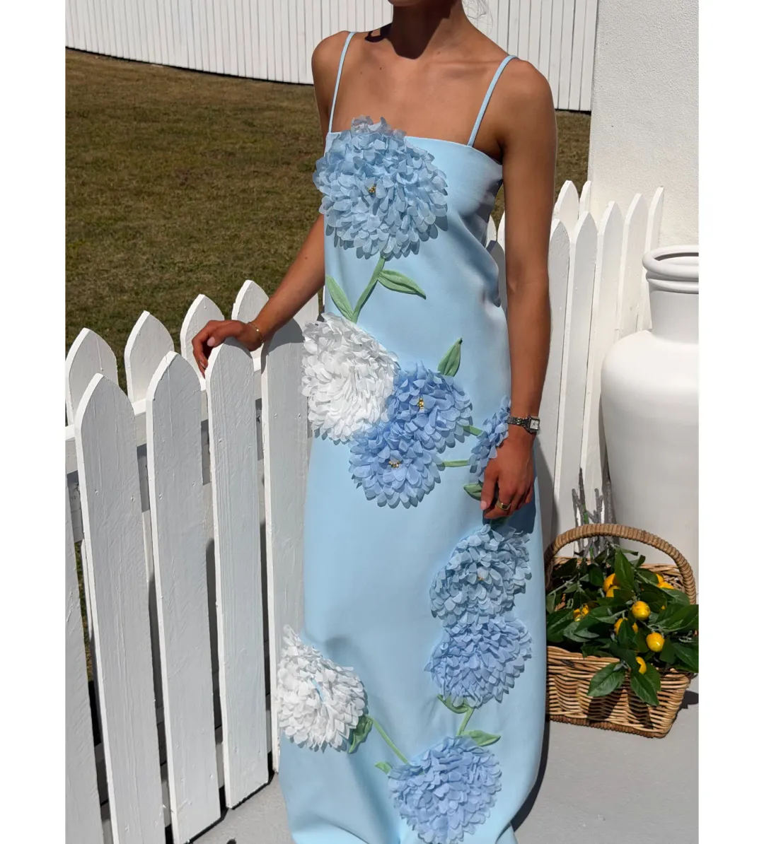 Elliatt Buttercup Embroidered Maxi Dress in Blue Size XXL/AU16 for rent on The Volte - main image